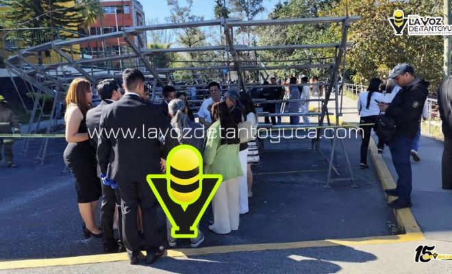 photo_4985558506777807843_y