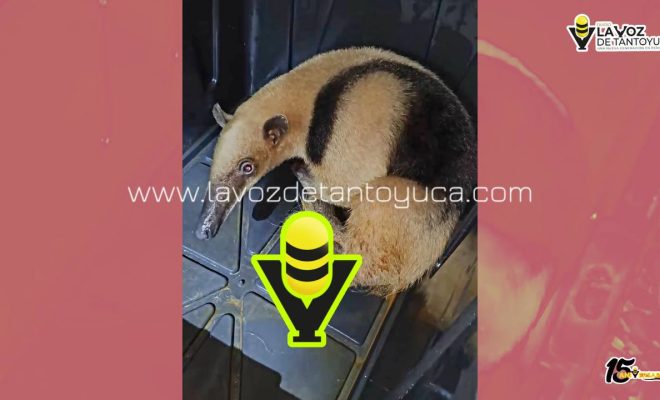 photo_4985558506777807851_y photo_4985558506777807851_y