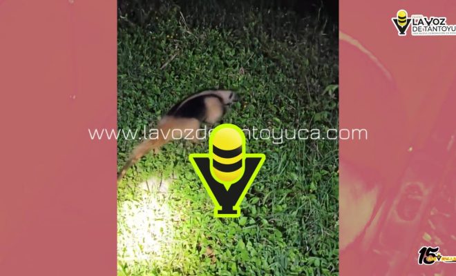 photo_4985558506777807852_y photo_4985558506777807852_y