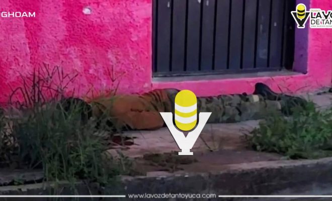 photo_4985807687895419688_y photo_4985807687895419688_y