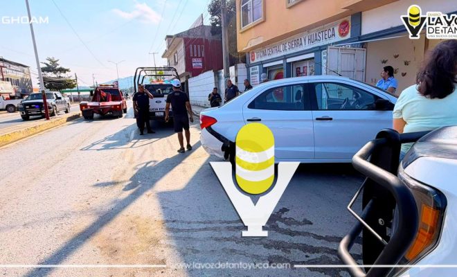 photo_4985807687895419718_y