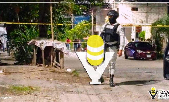 photo_4987914128835939186_y