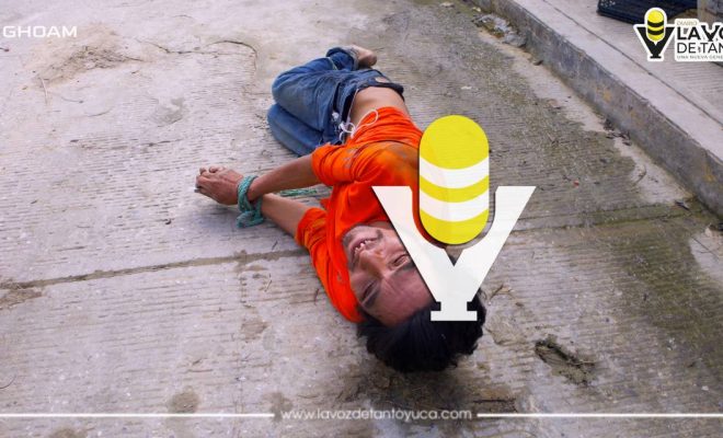 photo_4988059487709104907_y