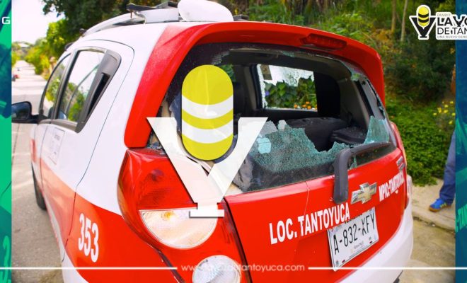 photo_4988059487709104908_y