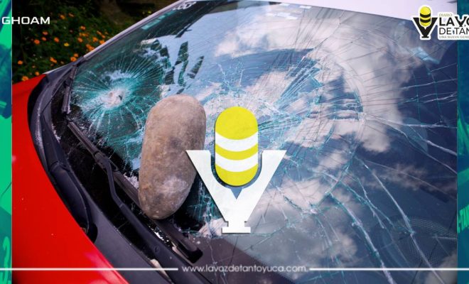 photo_4988059487709104909_y