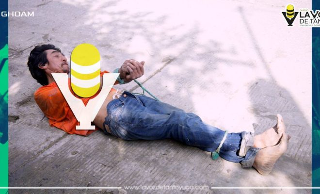 photo_4988059487709104910_y