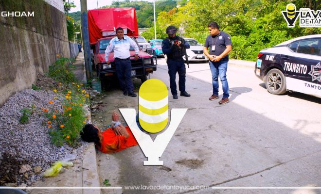 photo_4988059487709104912_y