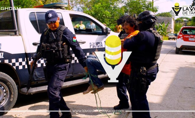 photo_4988059487709104913_y