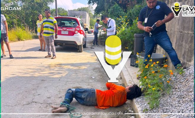 photo_4988059487709104914_y