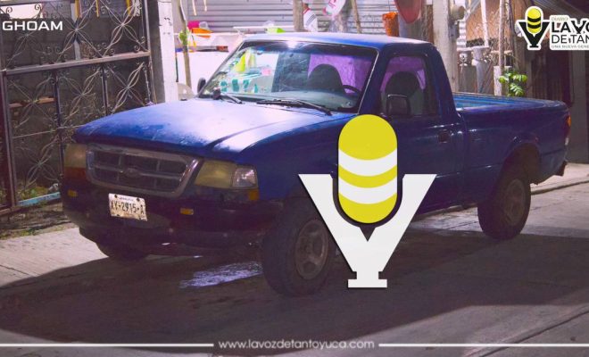 photo_4988059487709104924_y