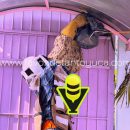 Protección Civil Municipal elimina riesgo por enjambre en Jardín de Niños