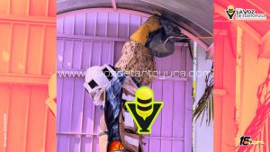 Protección Civil Municipal elimina riesgo por enjambre en Jardín de Niños