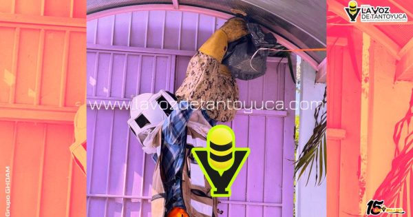 Protección Civil Municipal elimina riesgo por enjambre en Jardín de Niños