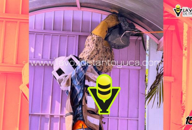 Protección Civil Municipal elimina riesgo por enjambre en Jardín de Niños