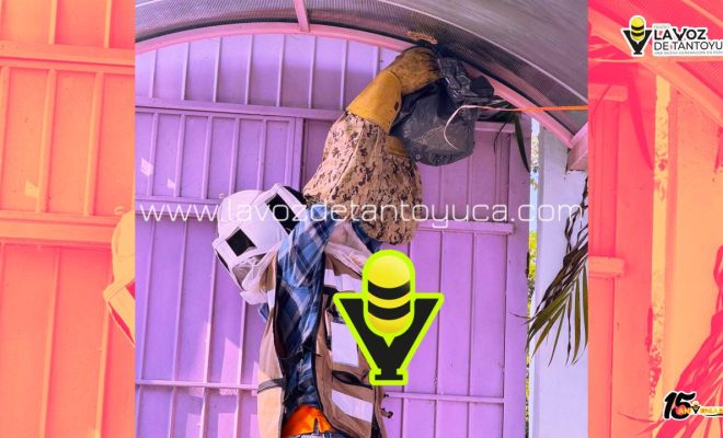 Protección Civil Municipal elimina riesgo por enjambre en Jardín de Niños