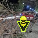 Árbol colapsa y daña vehículo en Tempoal