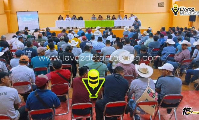 photo_4992305419363486577_y (1)