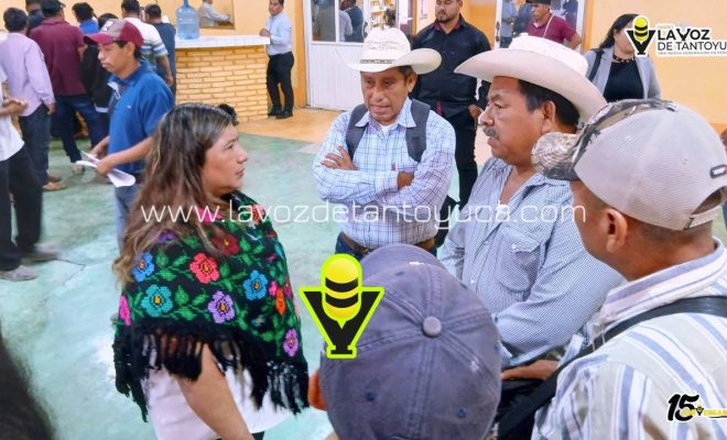 photo_4992305419363486578_y