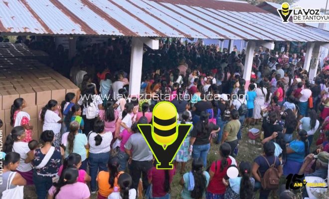 photo_4992434062223936398_y