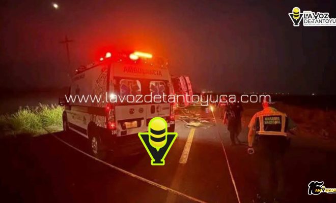 photo_4994557201997302741_y