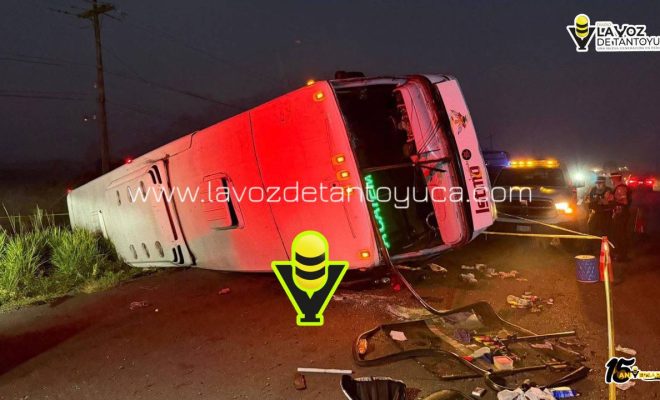 photo_4994557201997302742_y