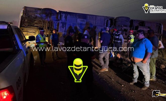 photo_4994557201997302743_y