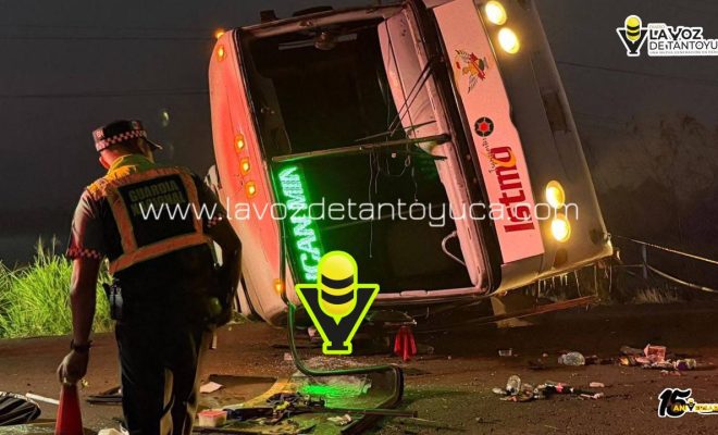 photo_4994557201997302744_y