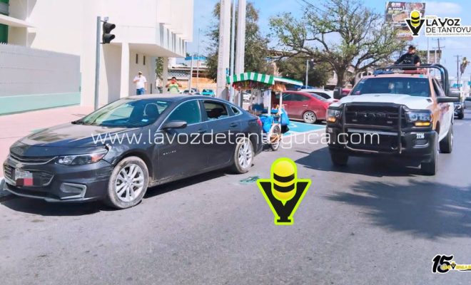 photo_4994557219177171856_y