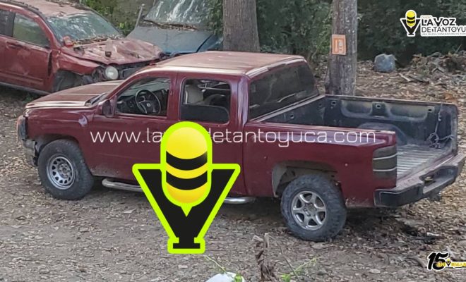 photo_4994557219177171882_y