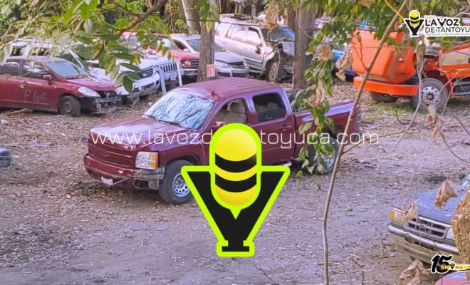 photo_4994557219177171883_y