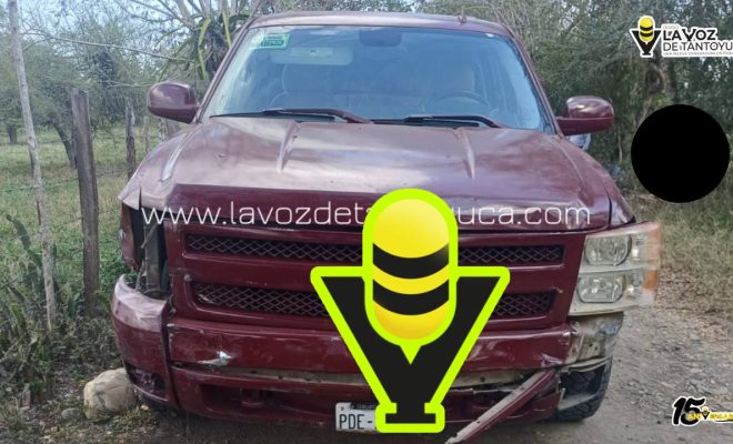 photo_4994557219177171884_y