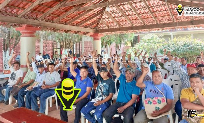 photo_4994557219177171888_y