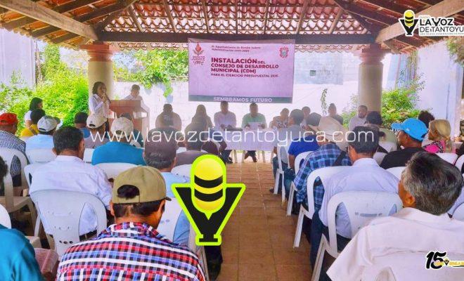 photo_4994557219177171890_y