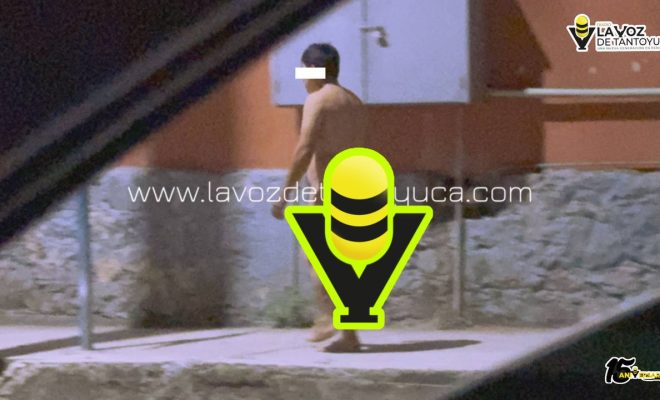 photo_4994557219177171897_y