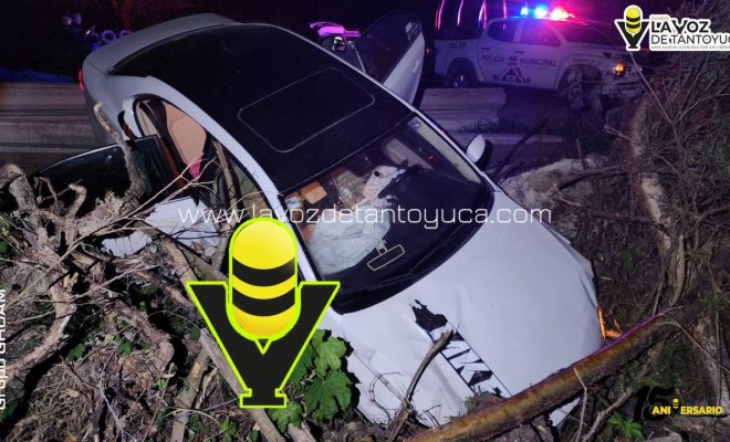 photo_4997159432487635865_y