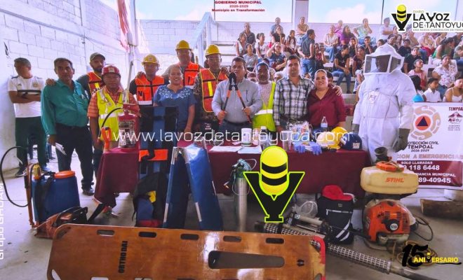 photo_4997159432487635874_y