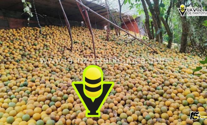 photo_4999020592140850781_y