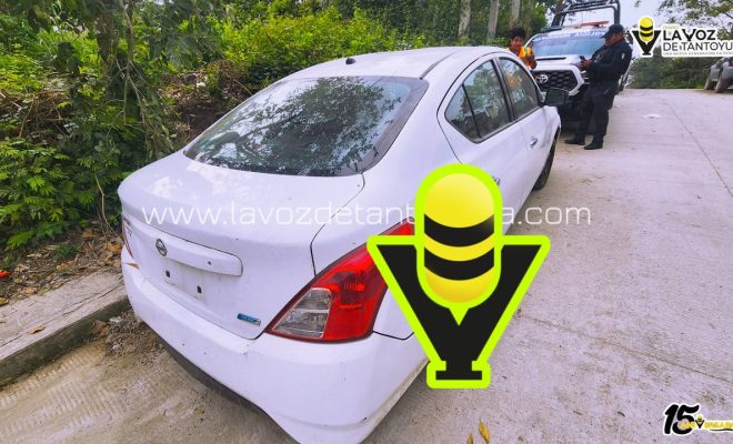 photo_5001272391954537304_y