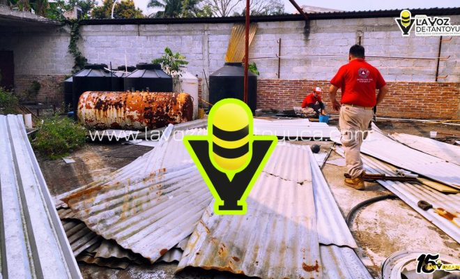 photo_5001272391954537306_y