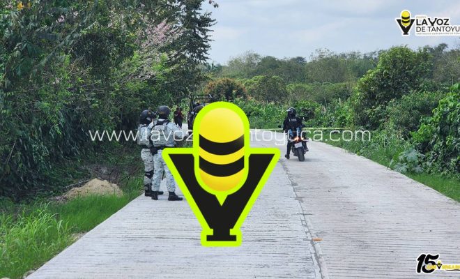 photo_5005792067644492764_y