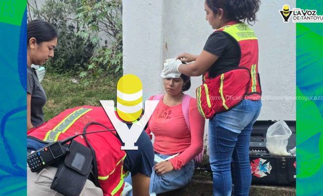 photo_5008104237518490433_y