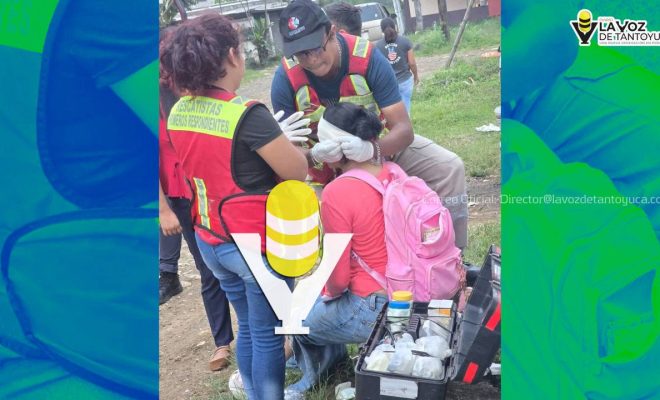 photo_5008104237518490434_y