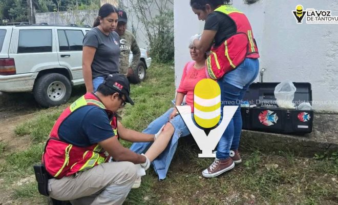 photo_5008104237518490435_y