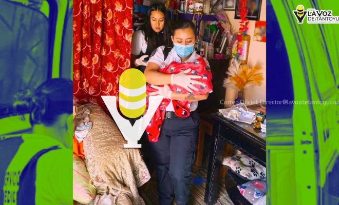 photo_5008104237518490444_y