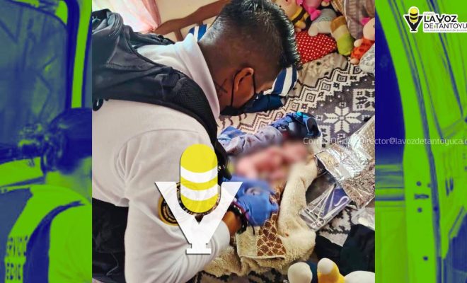 photo_5008104237518490445_y