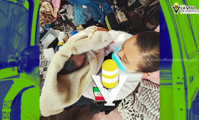 photo_5008104237518490446_y