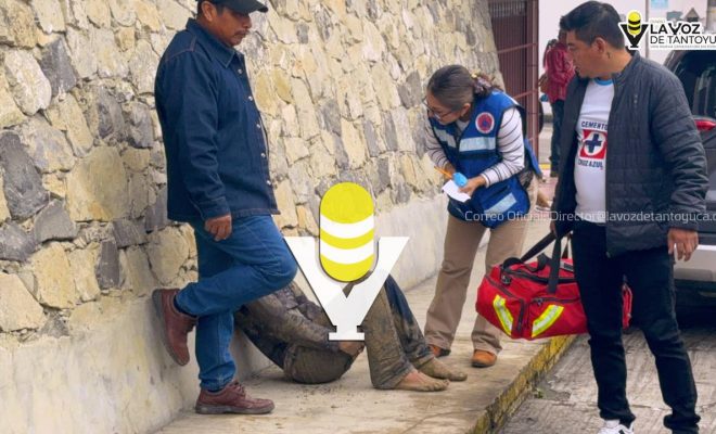 photo_5008104237518490486_y