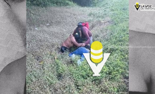 photo_5010356037332175695_y