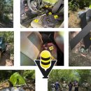 Cateo en Tempoal deja más de 59 mil dosis aseguradas, armas de fuego y granadas