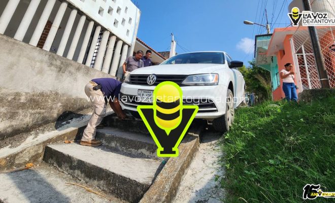 photo_5010656367215316048_y